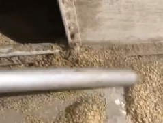 真空清掃係統代替傳統吸糧機